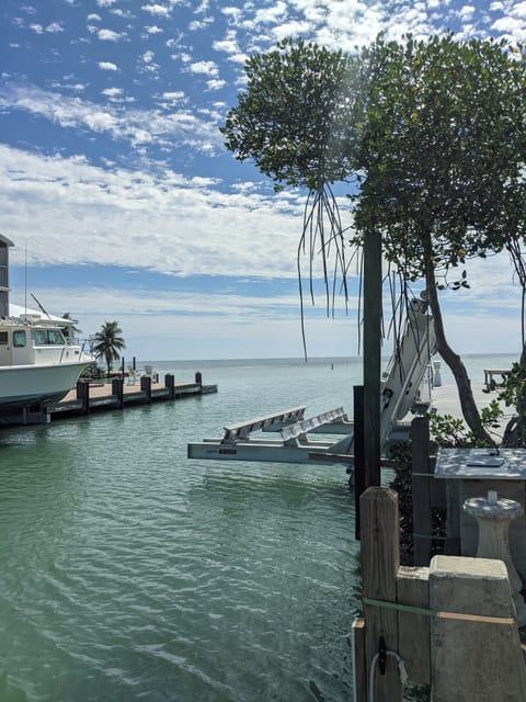 View from the dock