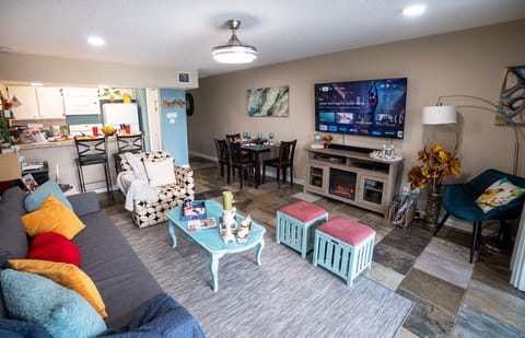 65" TV - Movie Channels - DVD Player - Electric Heated Fireplace!