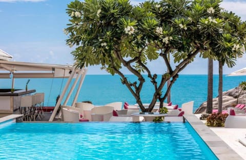 Outdoor pool, sun loungers