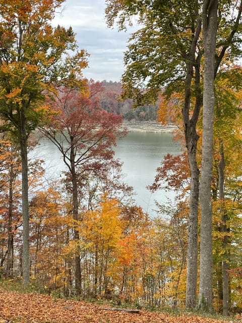 Fall colors on the Bluff!