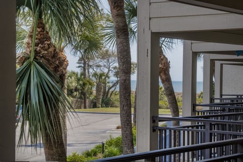 Ocean View!