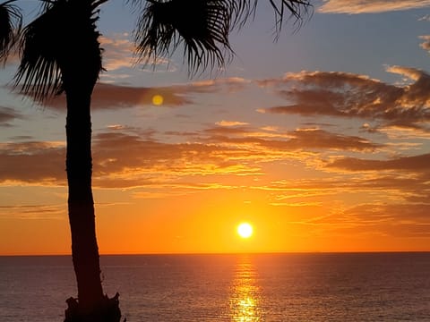 Enjoy the Sunsets from the Roof Deck