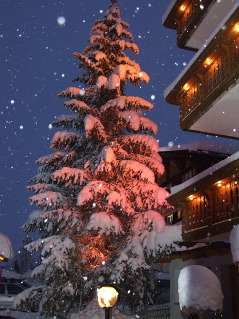 Front of property - evening/night