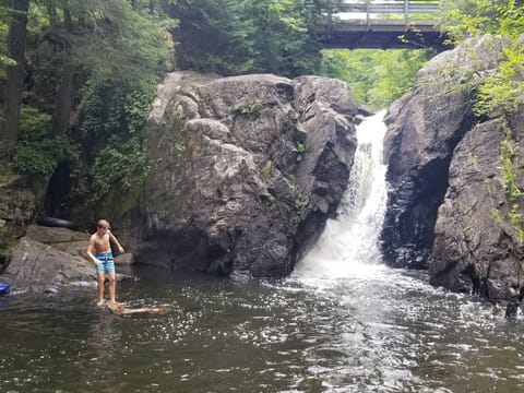 Davey Falls