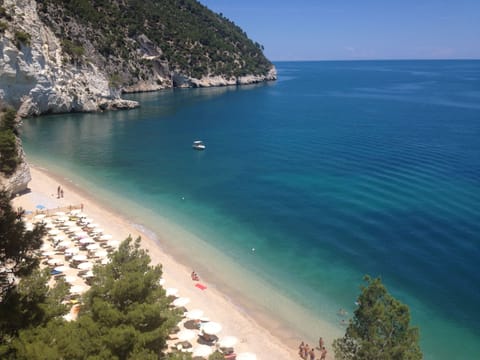 On the beach, sun loungers, beach umbrellas, 2 beach bars
