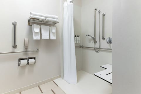 Combined shower/tub, free toiletries, hair dryer, towels