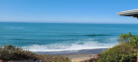 View from out back deck