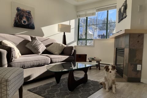Lots of Light & Mountain Views from Living Room