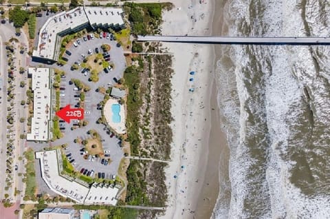 Oceanfront balcony, overlooking pool and wild dunes