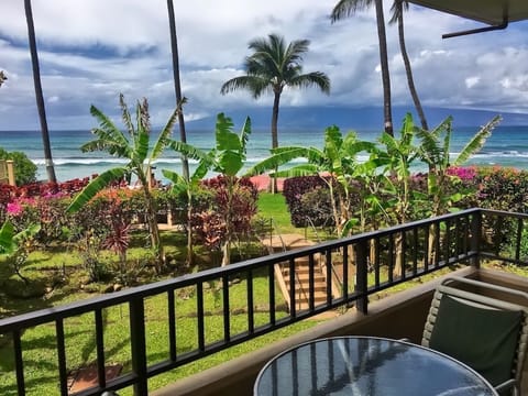 The stunning view from the living room and lanai!