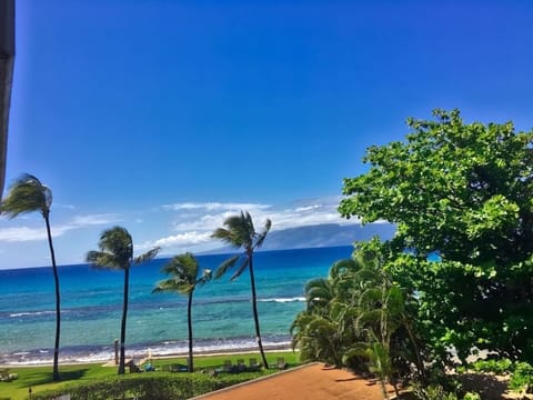 Relaxing ocean breezes flow past and through this property!