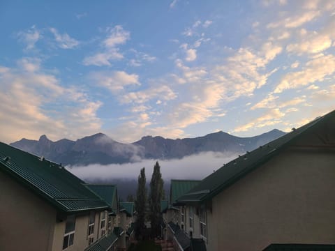 View from the upstairs balcony!