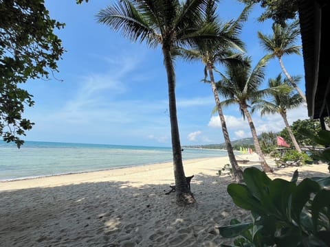 Beachfront Cottage Aircon | Beach/ocean view