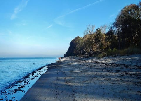 House | View from property