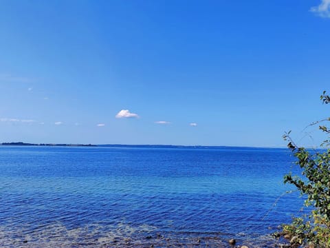 House | Water view