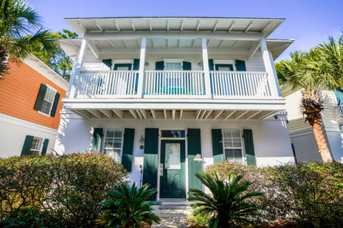 The house 