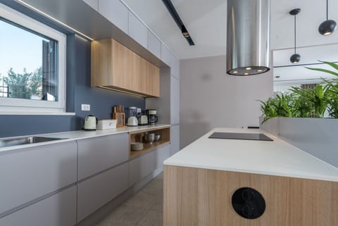 Modern and fully equipped kitchen in the luxury family villa Primavera Sukosan with complete privacy