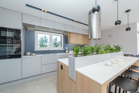 Modern and fully equipped kitchen in the luxury family villa Primavera Sukosan