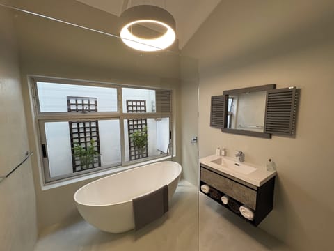 Queen Suite | Bathroom | Separate tub and shower, deep soaking tub, rainfall showerhead
