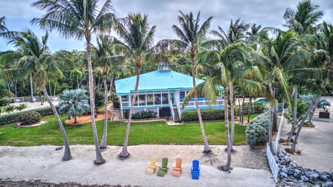 Aerial view of the back yard and your own beach with studded palm trees.