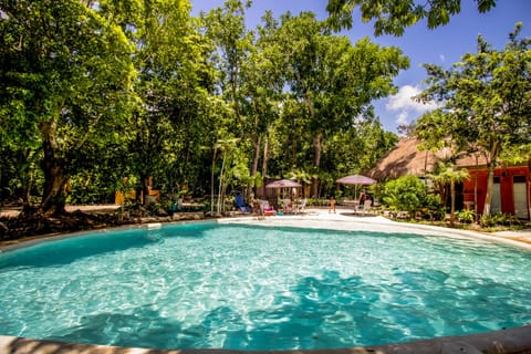 Outdoor pool, sun loungers
