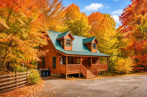 Autumn is a special time of year at the cabin. 