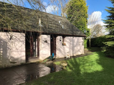 Cottage | Property grounds