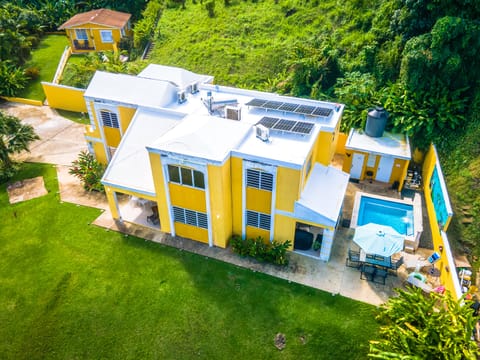 Hillside estate overlooking valley and El Yunque. 10 mins from beach and city. 
