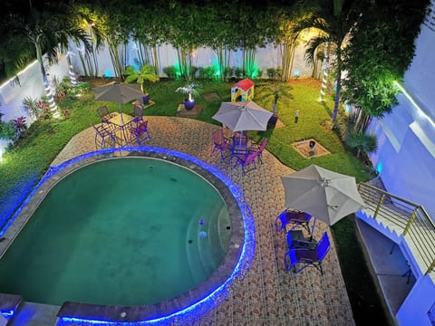 Outdoor pool, sun loungers