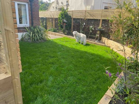 Dog not included!