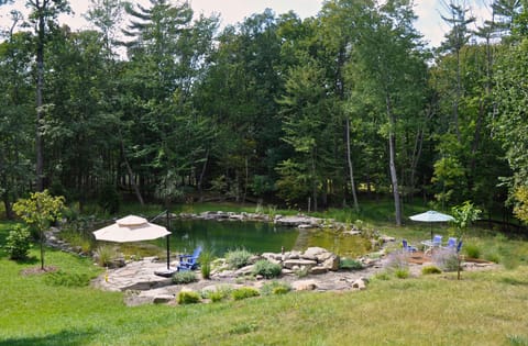 View of the pond/pool from the back deck