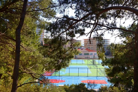Sport court