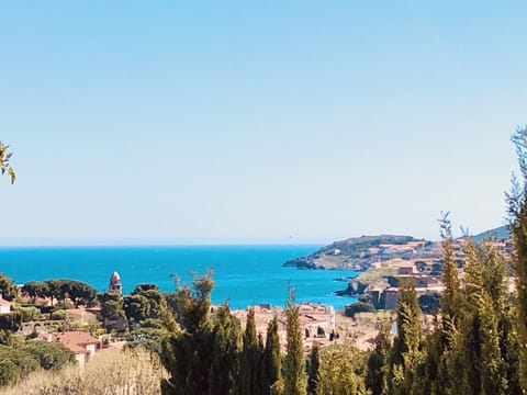 Beach/ocean view