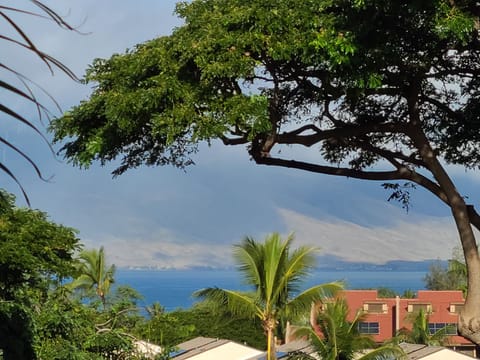 Ocean View from the Lanai