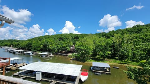 A short walk to your own private boat slip & tucked back in a calm, quiet cove! 