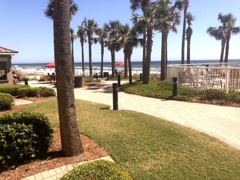 Actual view from patio. 