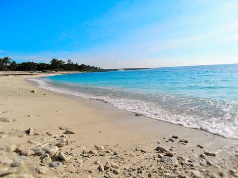 Xacc beach, 9 blocks from condo< private  for our addition.,

