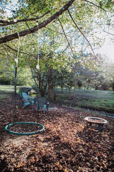 Fire pit is creekside along with tree swing!