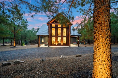 Modern retreat nestled among towering pines with warm evening light illuminating expansive windows and peaceful forest surroundings.