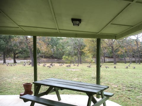 Wrap around back porch.