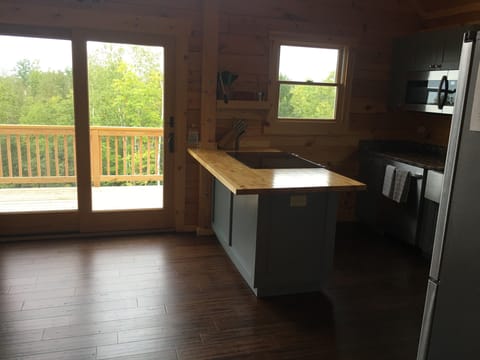 Slider to deck and kitchen stove island (Level 2)