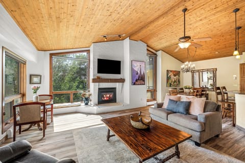 Living Room/Fireplace