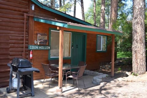 Coon Hollow Cabin