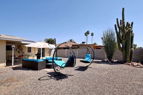 Patio and 100+ Yr Old Saguaro!
