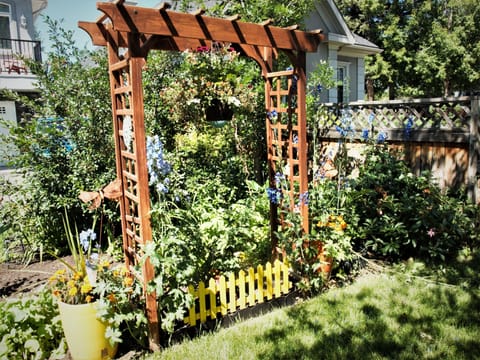 Garden view