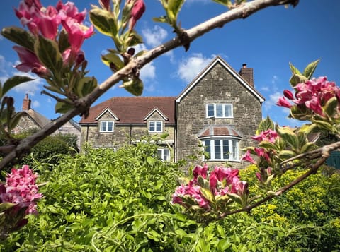 Cottage | Property grounds