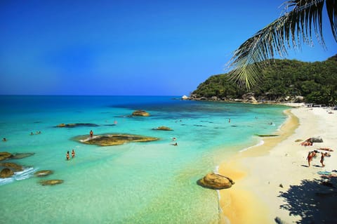 Beach nearby, white sand