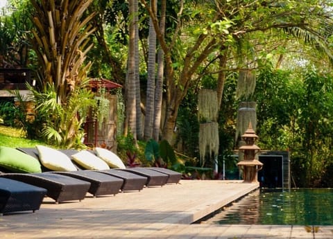 Outdoor pool, sun loungers