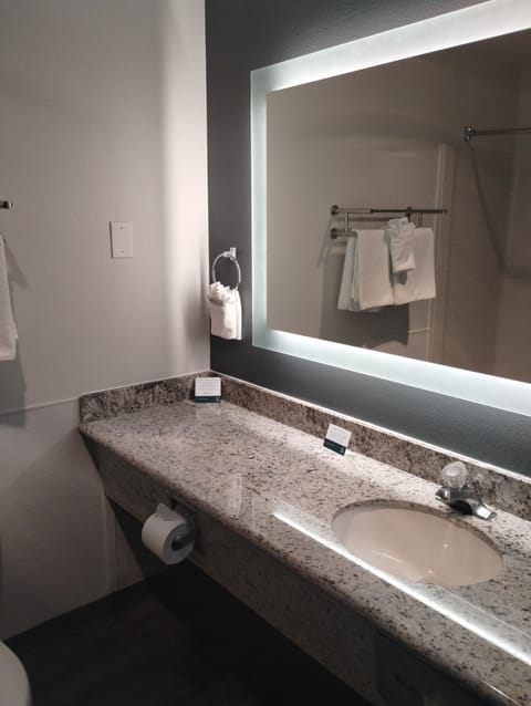 Combined shower/tub, free toiletries, hair dryer, towels