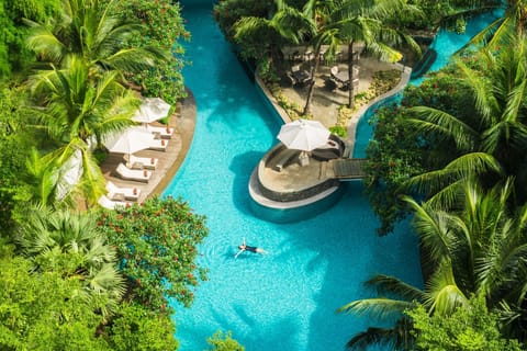Outdoor pool, sun loungers